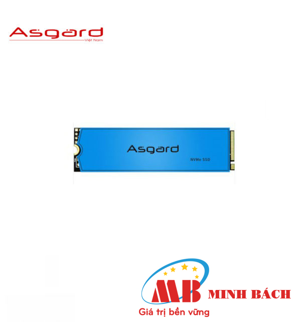 SSD ASGARD AN3 M2 PCIE NVME 500 GB 2280